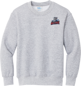 Hartford Jr. Wolfpack Youth Core Fleece Crewneck Sweatshirt