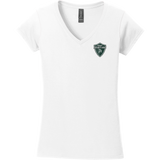 Biggby Spartans Softstyle Ladies Fit V-Neck T-Shirt