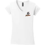 Danbury Hat Tricks Softstyle Ladies Fit V-Neck T-Shirt