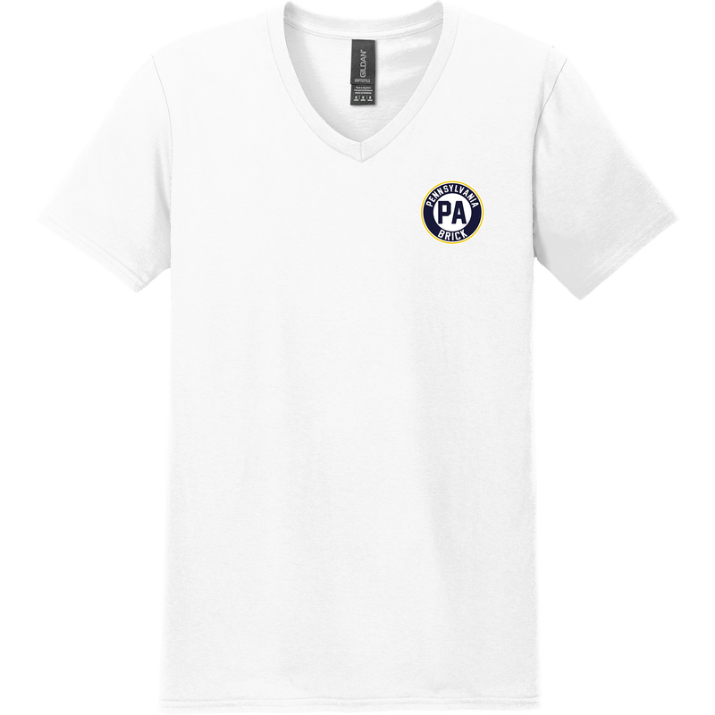 PA Brick Softstyle V-Neck T-Shirt