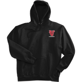 University of Tampa Ultimate Cotton - Pullover Hooded Sweatshirt