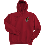 Seacoast Spartans Ultimate Cotton - Pullover Hooded Sweatshirt