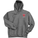 University of Tampa Ultimate Cotton - Pullover Hooded Sweatshirt