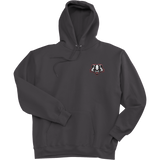 Scary Badgers Ultimate Cotton - Pullover Hooded Sweatshirt