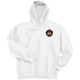 Princeton Jr. Tigers Ultimate Cotton - Pullover Hooded Sweatshirt