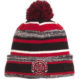Apple Core New Era Sideline Beanie