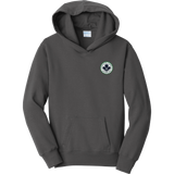 North Park Hockey Youth Fan Favorite Fleece Pullover Hooded Sweatshirt