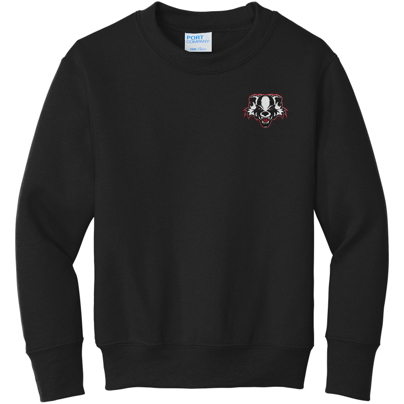 Scary Badgers Youth Core Fleece Crewneck Sweatshirt