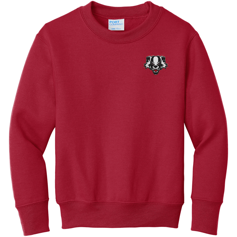 Scary Badgers Youth Core Fleece Crewneck Sweatshirt