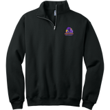 Jr. Phantoms NuBlend 1/4-Zip Cadet Collar Sweatshirt