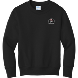 Phila Revolution Youth Core Fleece Crewneck Sweatshirt